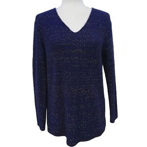 Gap V-Neck Pullover Long Sleeve Wool Blend Blue Sweater Size Medium